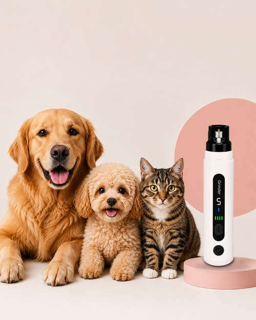 Ameviora Kloslip på en rosa sockel bredvid en golden retriever, en valp och en katt